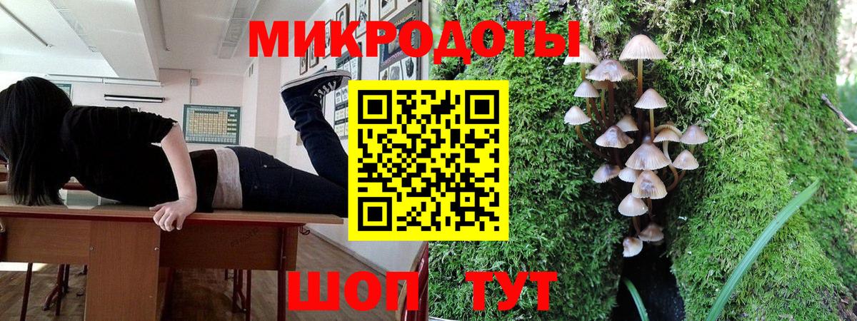 Псилоцибиновые грибы Psilocybe  как найти наркотики  Донецк  Вход с VPN 